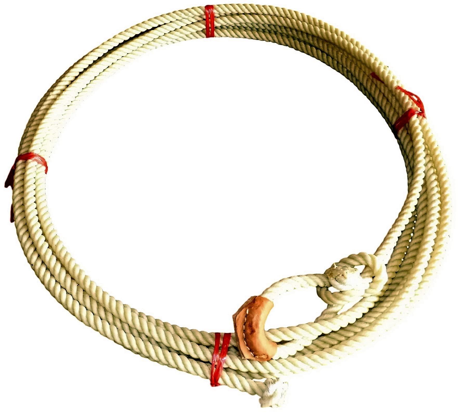 A Lasso Of Truth Around‌ Development‍ Woes